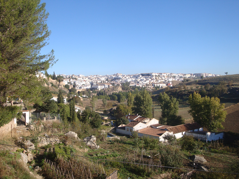 DSC01529