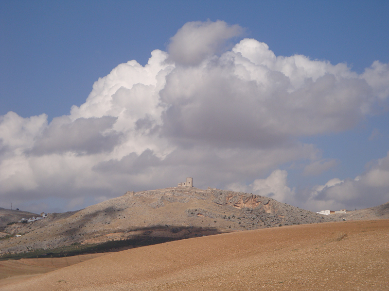DSC01530