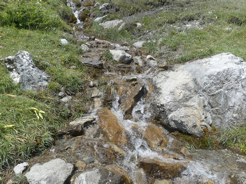 P1030756