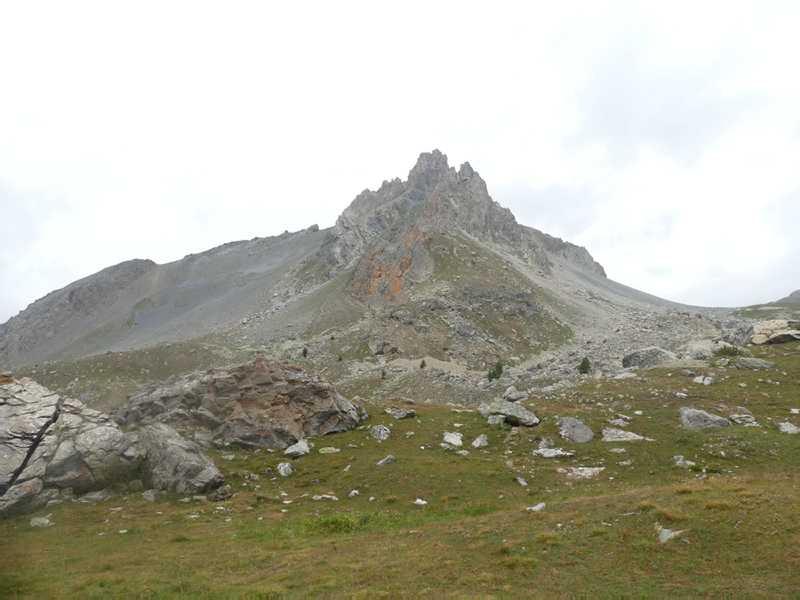 P1030837