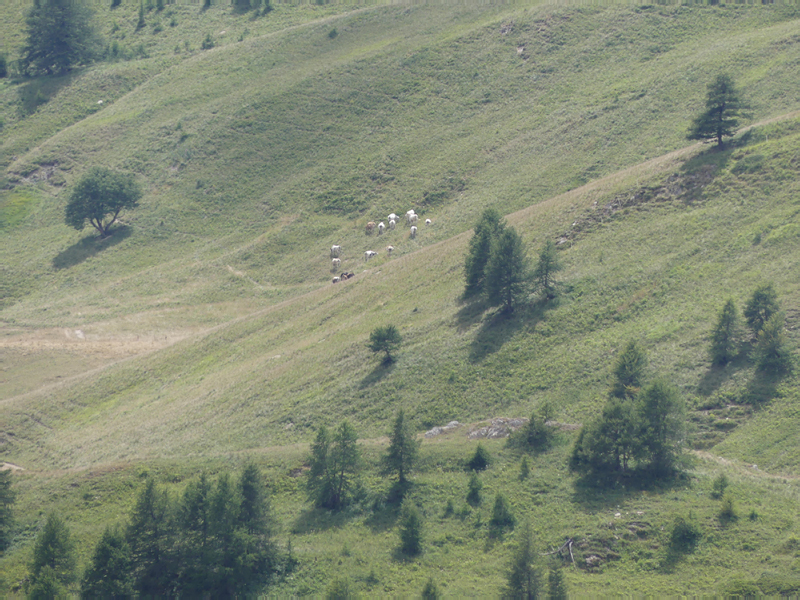 P1040004