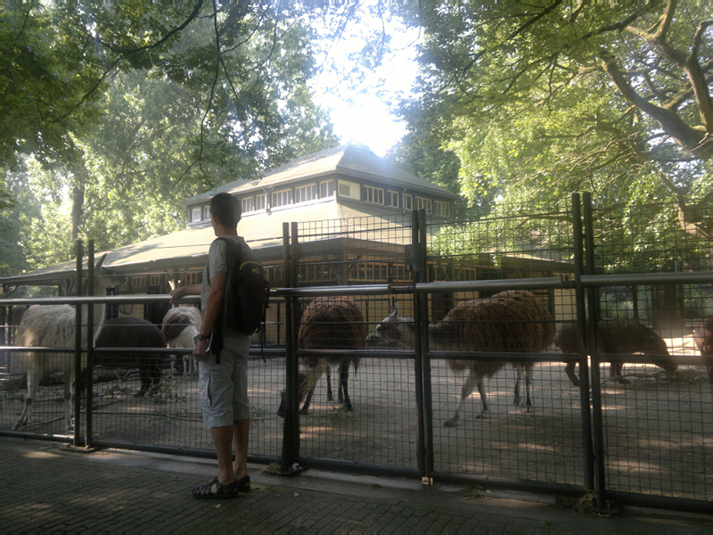 2014-07-18-062