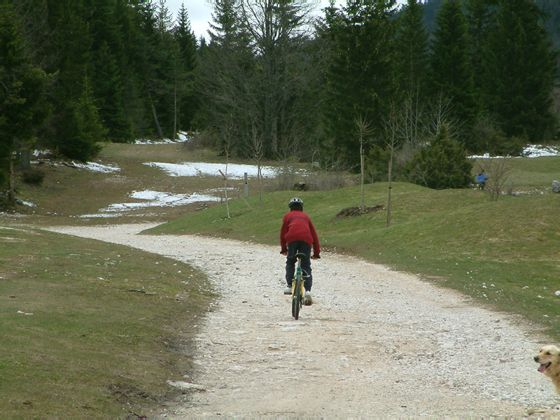 I 005