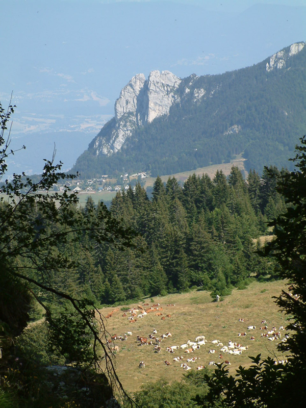P 091