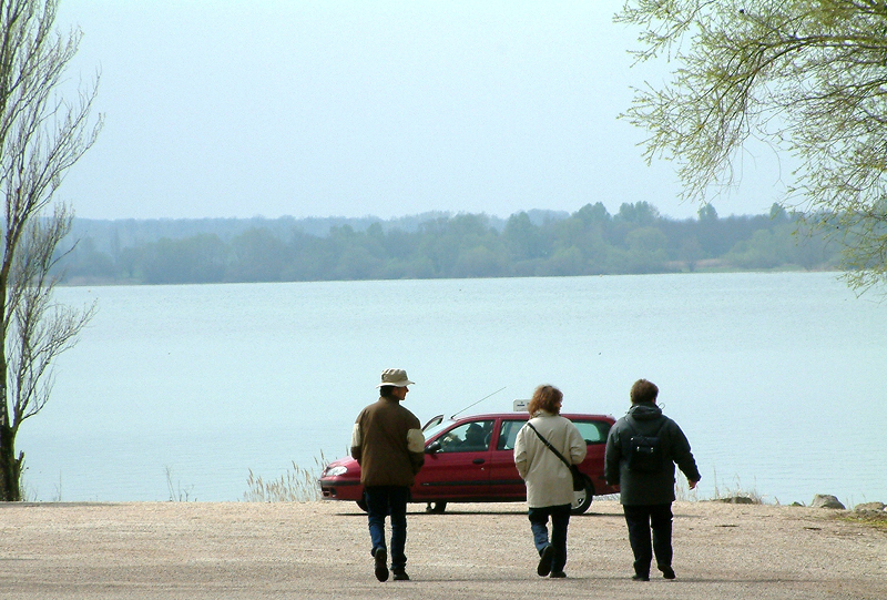 lac 013