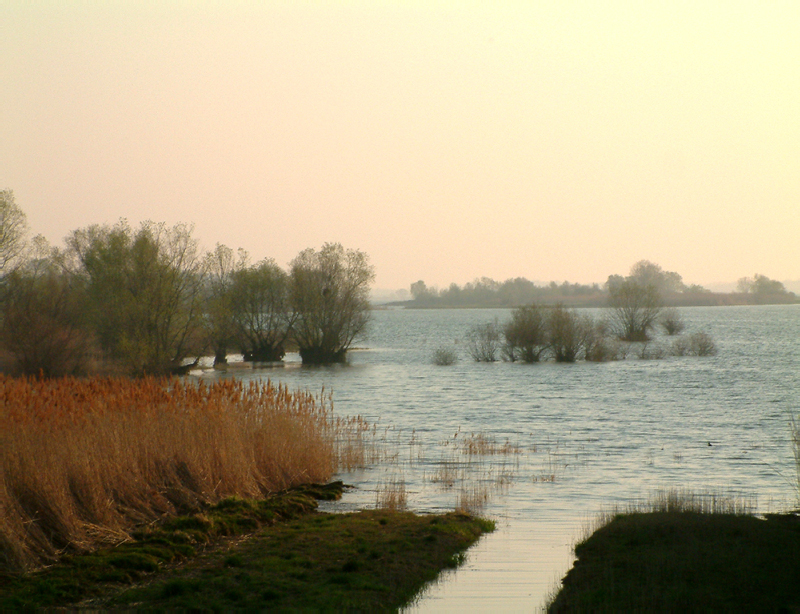 lac 080