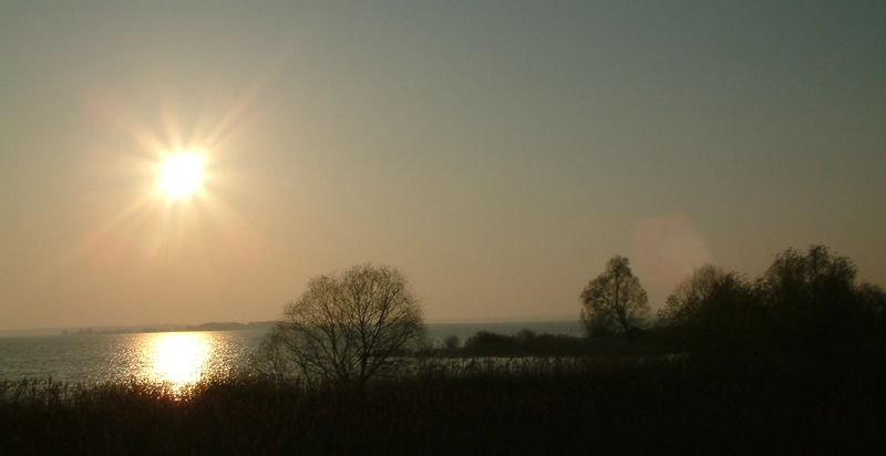 lac 081