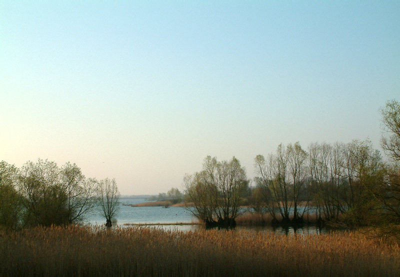 lac 084