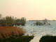 lac 080