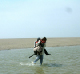 baie 24