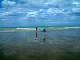 cayeux 4