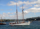 juillet 2006 bretagne(douarnenez) 050