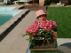 DSCF0118