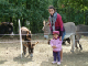 DSCF0457