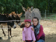 DSCF0460