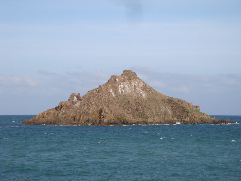 DSC00686