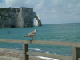 DSCF0057