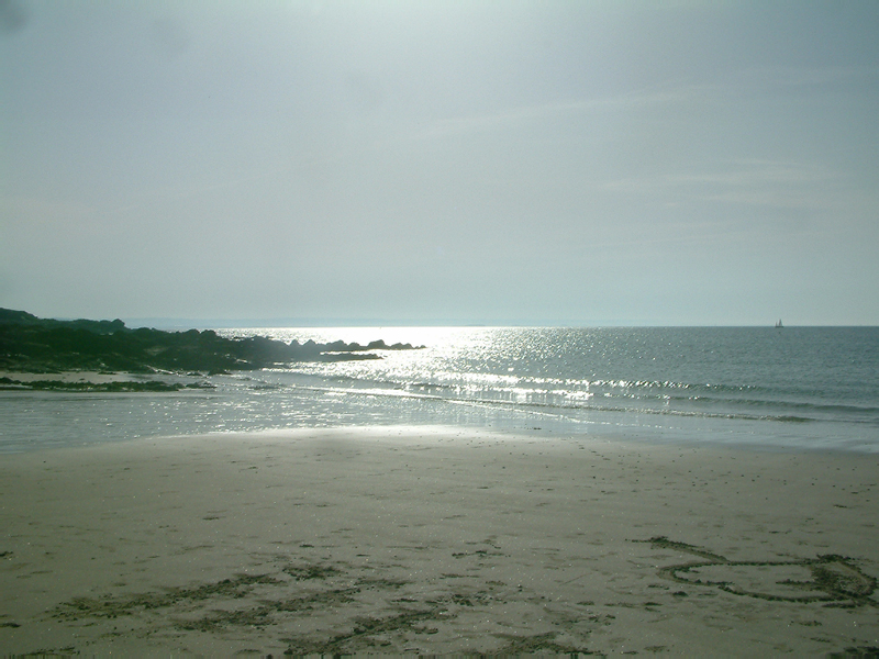 DSCF0093