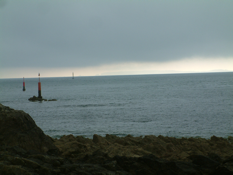DSCF0126