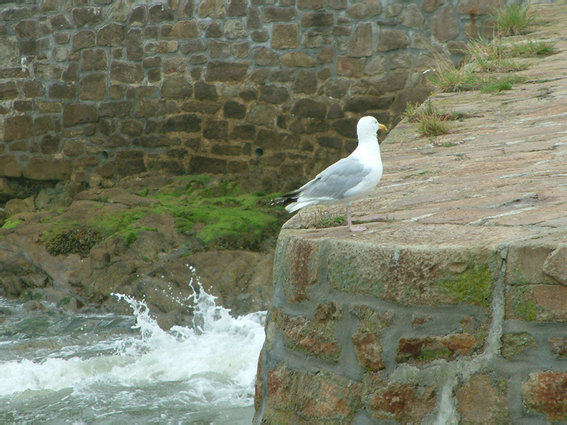 DSCF0149