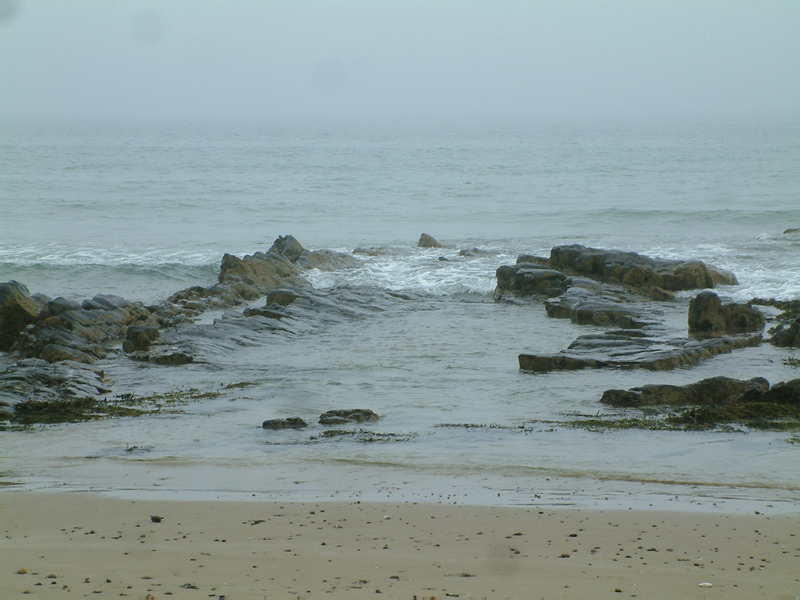 DSCF0173