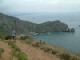 DSCF0100