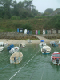 DSCF0138