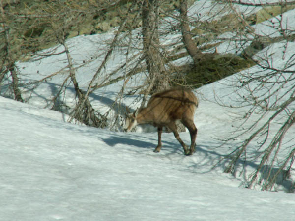 Jeudi_PICT0005