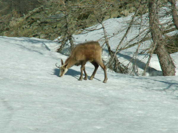 Jeudi_PICT0006