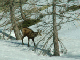 Jeudi_PICT0004