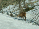 Jeudi_PICT0005