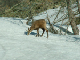Jeudi_PICT0006