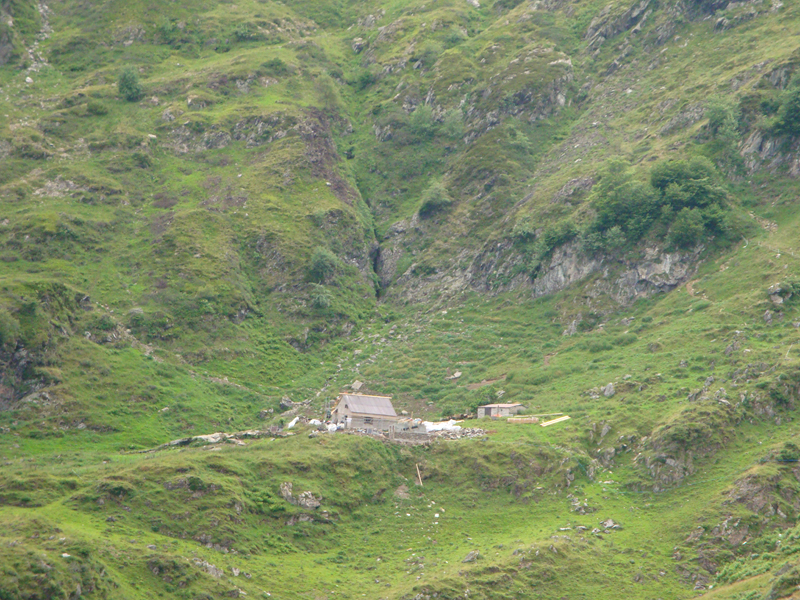 DSC00017