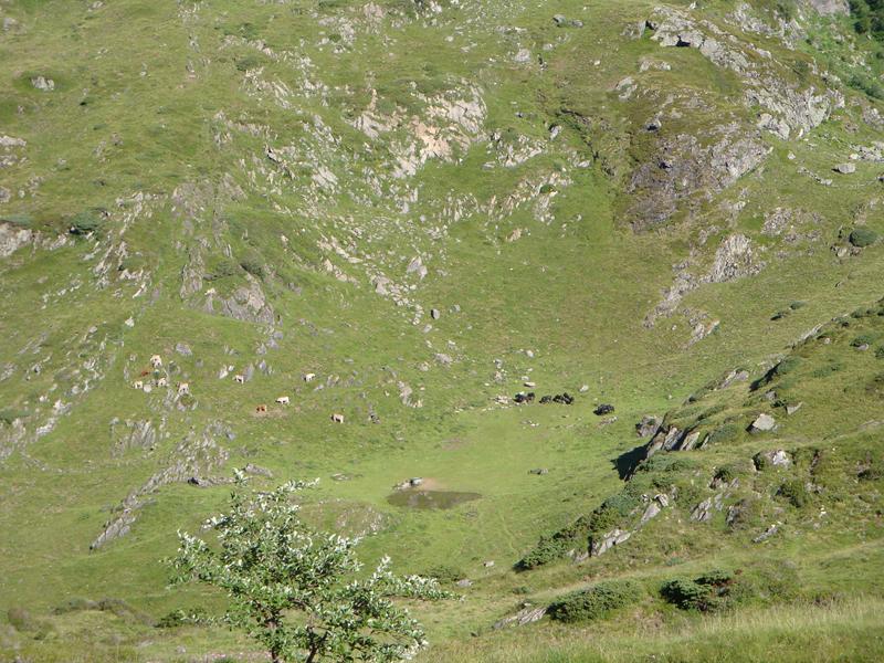 DSC00023