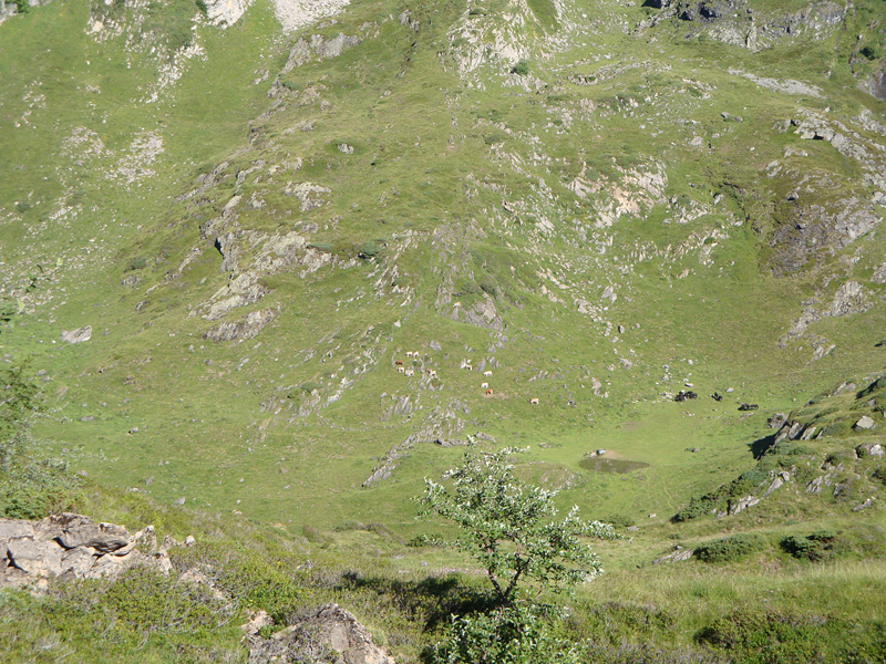 DSC00024