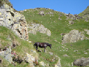 DSC00025