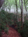 DSC00046