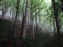 DSC00048
