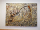 Hans_Kieffer