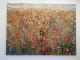 Hans_Kieffer2