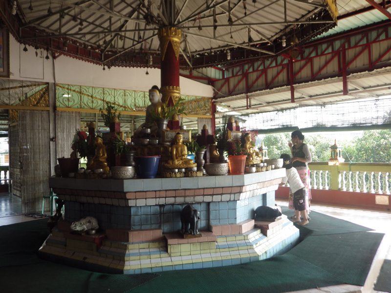 IMGP0009