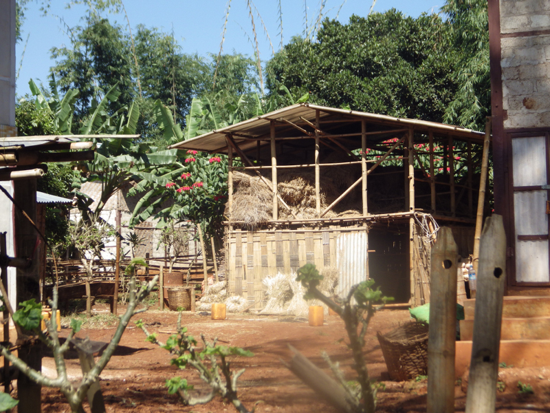 IMGP0115