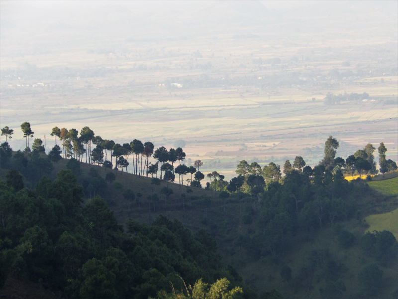 IMGP0197