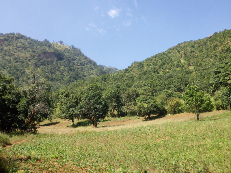 IMGP0281