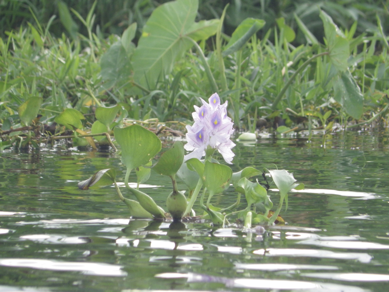 IMGP0543
