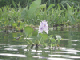 IMGP0543
