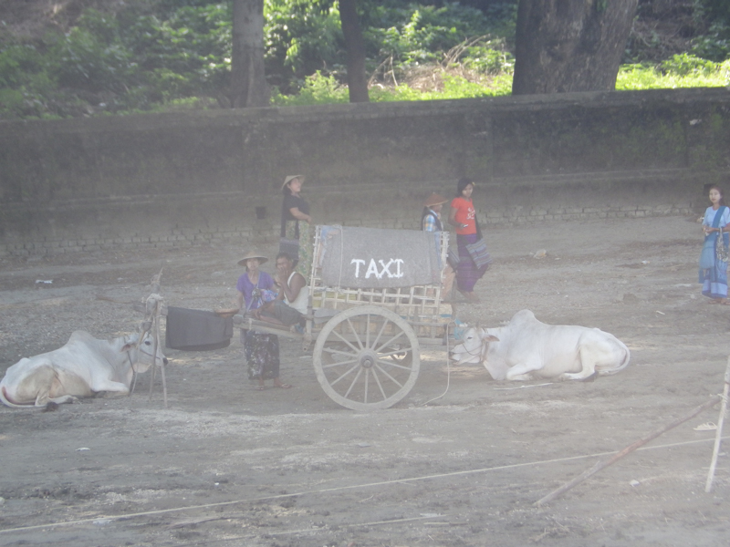 IMGP0685