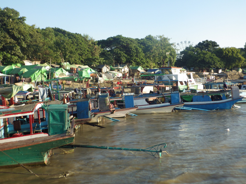 IMGP0705