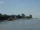 IMGP0684