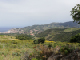 IMG_20180610_163720